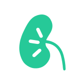 IKEM mTransplant